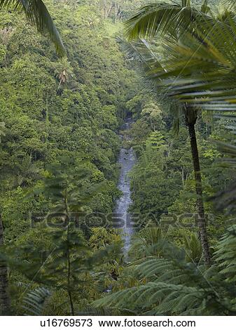 Stock Image - Bali landscape. Fotosearch