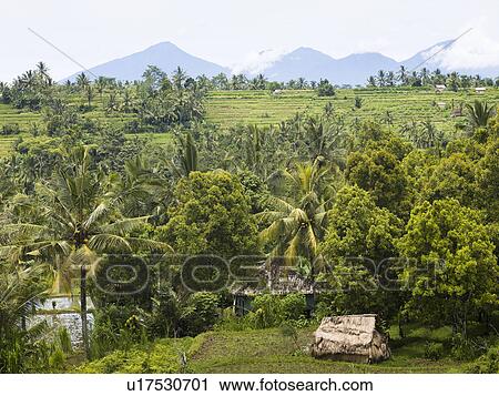 Stock Image - Bali landscape . Fotosearch