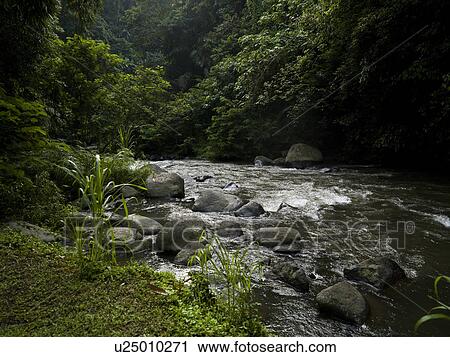 Bali landscape View Large Photo Image Stock Image - Bali landscape. Fotosearch