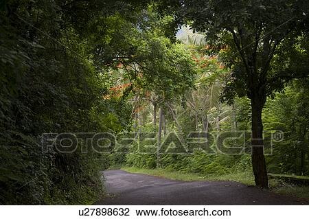 Bali landscape View Large Photo Image Stock Image - Bali landscape. Fotosearch