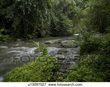 Stock Photo - Bali landscape. Fotosearch