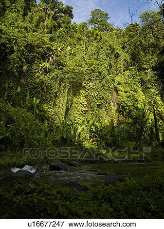 Bali Landscape View Large Photo Image Stock Photo - Bali Landscape. Fotosearch