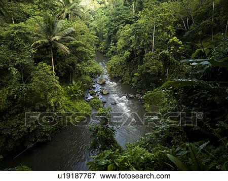 Bali landscape View Large Photo Image Stock Photo - Bali landscape. Fotosearch