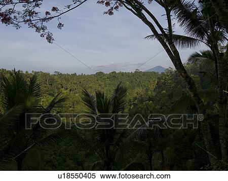 Bali landscape View Large Photo Image Stock Photography - Bali landscape. Fotosearch