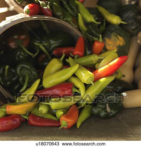 Basket of chili peppers View Large Photo Image Stock Image - Basket of chili peppers. Fotosearch
