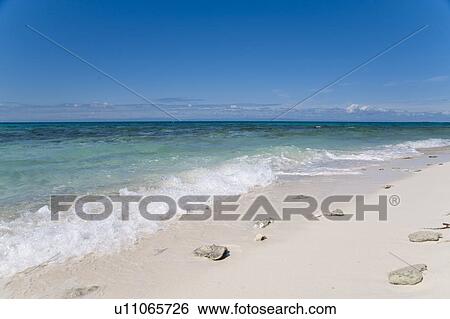 Belize Barrier Reef, Beach View Large Photo Image Stock Photograph - Belize Barrier Reef, Beach. Fotosearch