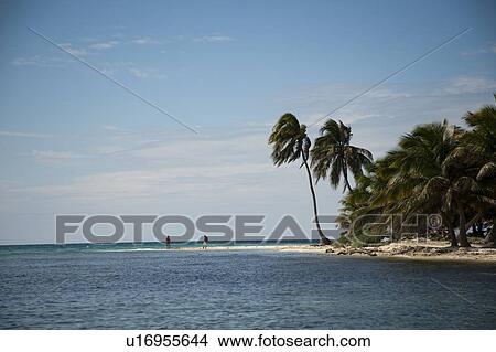 Belize Barrier Reef, Laughing Bird Caye View Large Photo Image Picture - Belize Barrier Reef, Laughing Bird Caye. Fotosearch