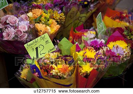Bouquets of flowers for sale in Boston, Massachusetts, USA View Large Photo Image Stock Photography - Bouquets of flowers for sale in Boston, Massachusetts, USA. Fotosearch