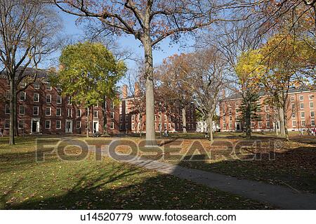 Stock Photo - Buildings on the campus of Harvard University in Boston, Massachusetts, USA. Fotosearch