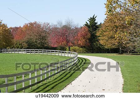Driveway in the Hamptons, New York View Large Photo Image Stock Photo - Driveway in the Hamptons, New York. Fotosearch
