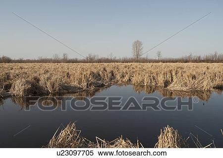 Stock Photography - Edge of Lake Winnipeg in Gimli, Manitoba Canada. Fotosearch