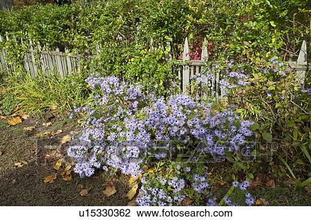 Stock Image - House in The Hamptons. Fotosearch