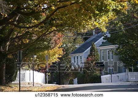 House in The Hamptons View Large Photo Image Stock Photography - House in The Hamptons. Fotosearch
