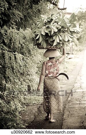 Indonesian woman balancing a bundle on her head View Large Photo Image Stock Image - Indonesian woman balancing a bundle on her head. Fotosearch