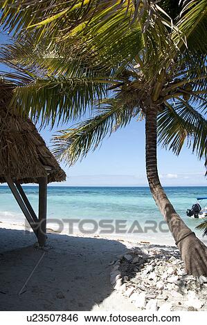 Stock Photograph - Laughing Bird Caye, Beach. Fotosearch