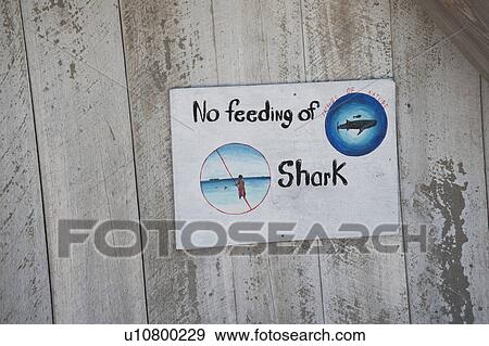 Laughing Bird Caye, Warning View Large Photo Image Stock Photo - Laughing Bird Caye, Warning. Fotosearch