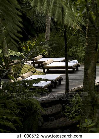 Lounge chairs on deck in Bali View Large Photo Image Stock Image - Lounge chairs on deck in Bali. Fotosearch