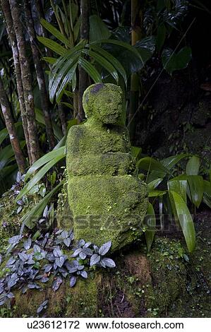 Moss covered statue in Bali View Large Photo Image Stock Image - Moss covered statue in Bali. Fotosearch