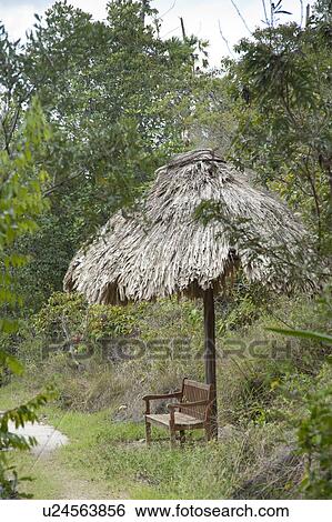 Stock Photograph - Mountain Pine Ridge Reserve, Bench. Fotosearch