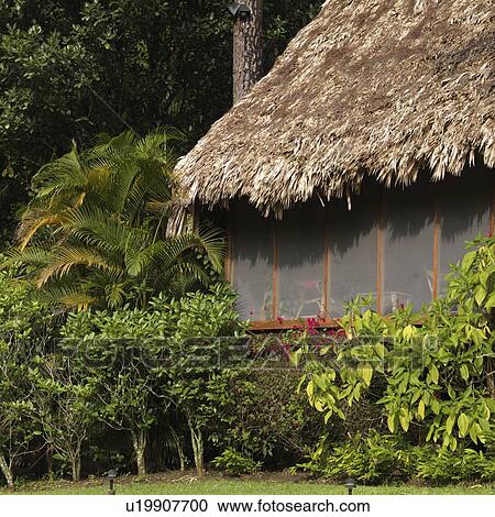 Stock Image - Mountain Pine Ridge Reserve, Building. Fotosearch