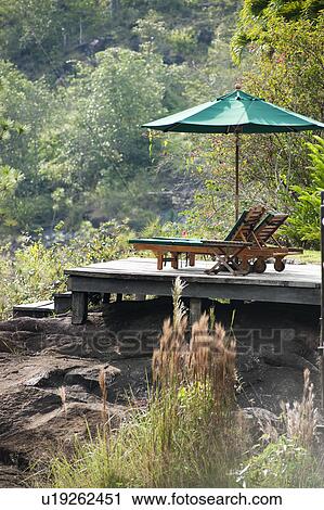 Mountain Pine Ridge Reserve, Deck View Large Photo Image Stock Image - Mountain Pine Ridge Reserve, Deck. Fotosearch