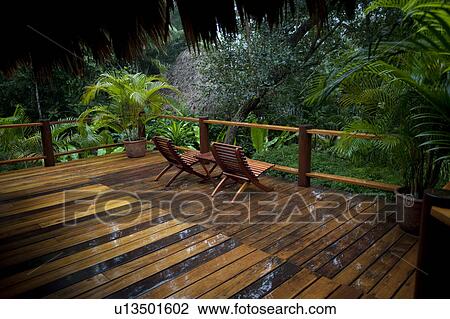 Mountain Pine Ridge Reserve, Deck with Chairs View Large Photo Image Stock Image - Mountain Pine Ridge Reserve, Deck with Chairs. Fotosearch