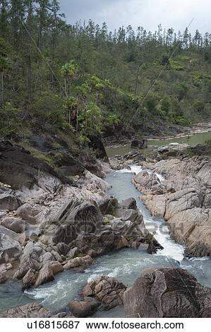 Stock Photo - Mountain Pine Ridge Reserve, Rapids. Fotosearch