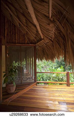 Mountain Pine Ridge Reserve, Resort View Large Photo Image Stock Image - Mountain Pine Ridge Reserve, Resort. Fotosearch