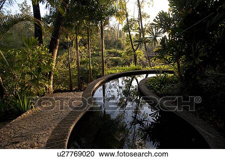 Stock Image - Mountain Pine Ridge Reserve, Stream. Fotosearch