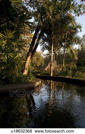 Stock Photo - Mountain Pine Ridge Reserve, Stream. Fotosearch