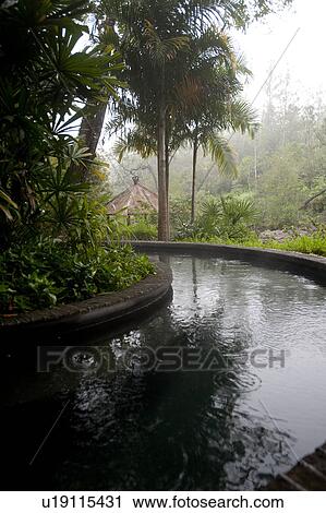Stock Image - Mountain Pine Ridge Reserve, Strem. Fotosearch