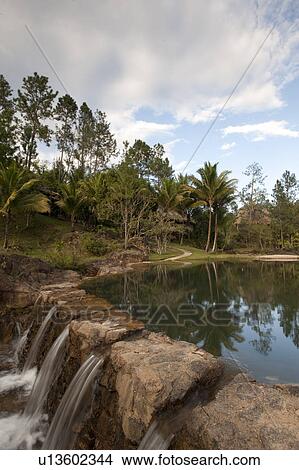 Picture - Mountain Pine Ridge Reserve, Waterfall. Fotosearch