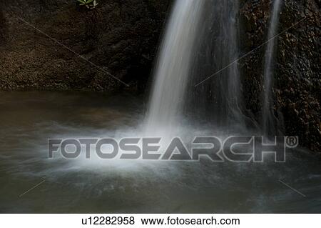 Mountain Pine Ridge Reserve, Waterfall View Large Photo Image Stock Photo - Mountain Pine Ridge Reserve, Waterfall. Fotosearch