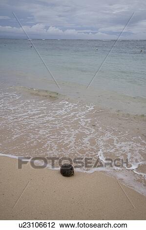 Stock Image - Ocean and beach in Bali. Fotosearch