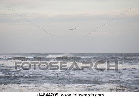 Ocean waves along Hampton coastline View Large Photo Image Stock Photo - Ocean waves along Hampton coastline. Fotosearch