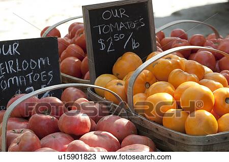 Outdoor market in the Hamptons View Large Photo Image Stock Image - Outdoor market in the Hamptons. Fotosearch