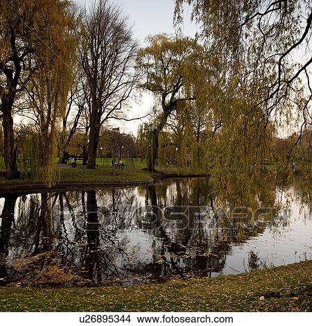 Picture - Park in Boston, Massachusetts, USA. Fotosearch