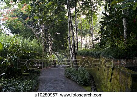 Pathway surrounded with vegetation in Bali View Large Photo Image Stock Photo - Pathway surrounded with vegetation in Bali. Fotosearch