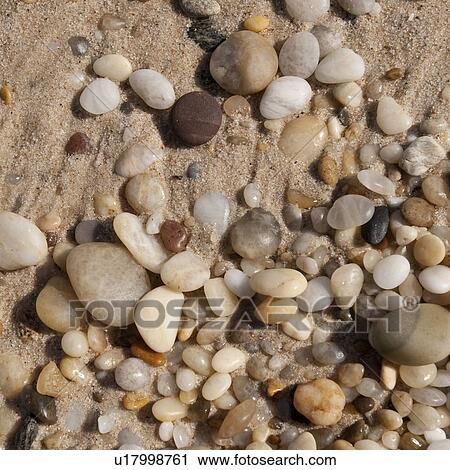 Pebbles on the Hampton shoreline View Large Photo Image Stock Image - Pebbles on the Hampton shoreline. Fotosearch
