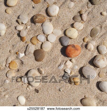 Pebbles on the Hampton shoreline View Large Photo Image Stock Photo - Pebbles on the Hampton shoreline. Fotosearch