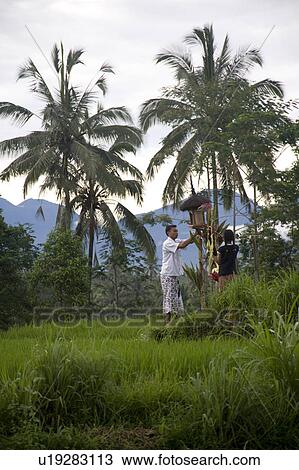People in countryside in Bali View Large Photo Image Stock Image - People in countryside in Bali. Fotosearch