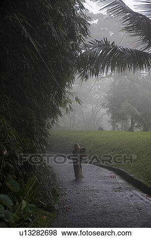 Person on pathway in Bali View Large Photo Image Stock Photo - Person on pathway in Bali. Fotosearch