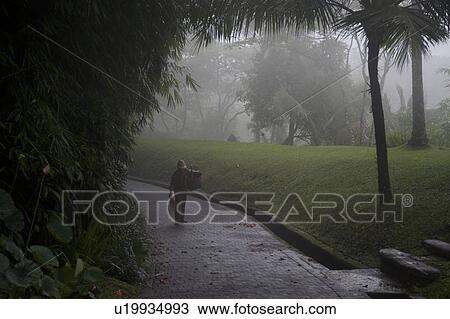 Stock Image - Person walking along pathway in Bali. Fotosearch