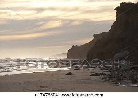 Picture - Person walking with their dog along Hampton shoreline. Fotosearch