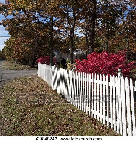 Stock Photo - Picket fence in East Hamptons. Fotosearch