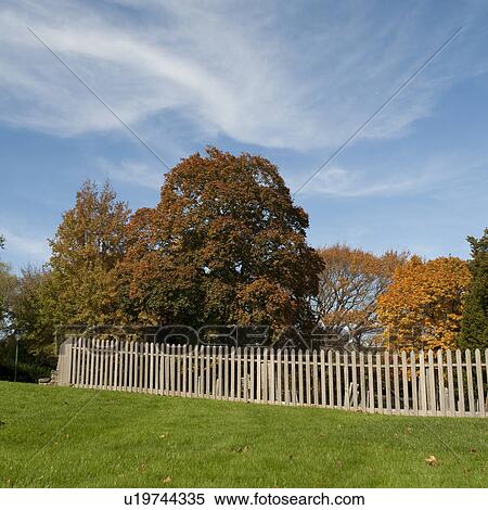 Picket fence in East Hamptons View Large Photo Image Stock Photography - Picket fence in East Hamptons. Fotosearch