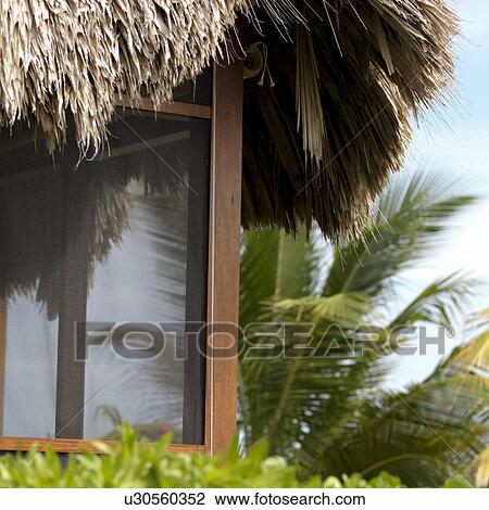 Placencia, Building View Large Photo Image Stock Image - Placencia, Building. Fotosearch