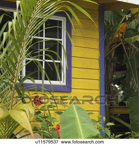 Placencia, Building View Large Photo Image Stock Photo - Placencia, Building. Fotosearch