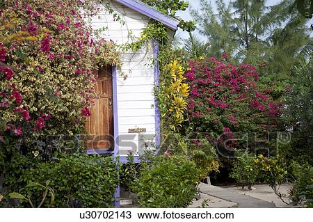 Stock Image - Placencia, Building with Plants. Fotosearch
