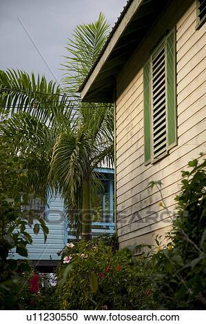 Placencia, Houses View Large Photo Image Stock Image - Placencia, Houses. Fotosearch